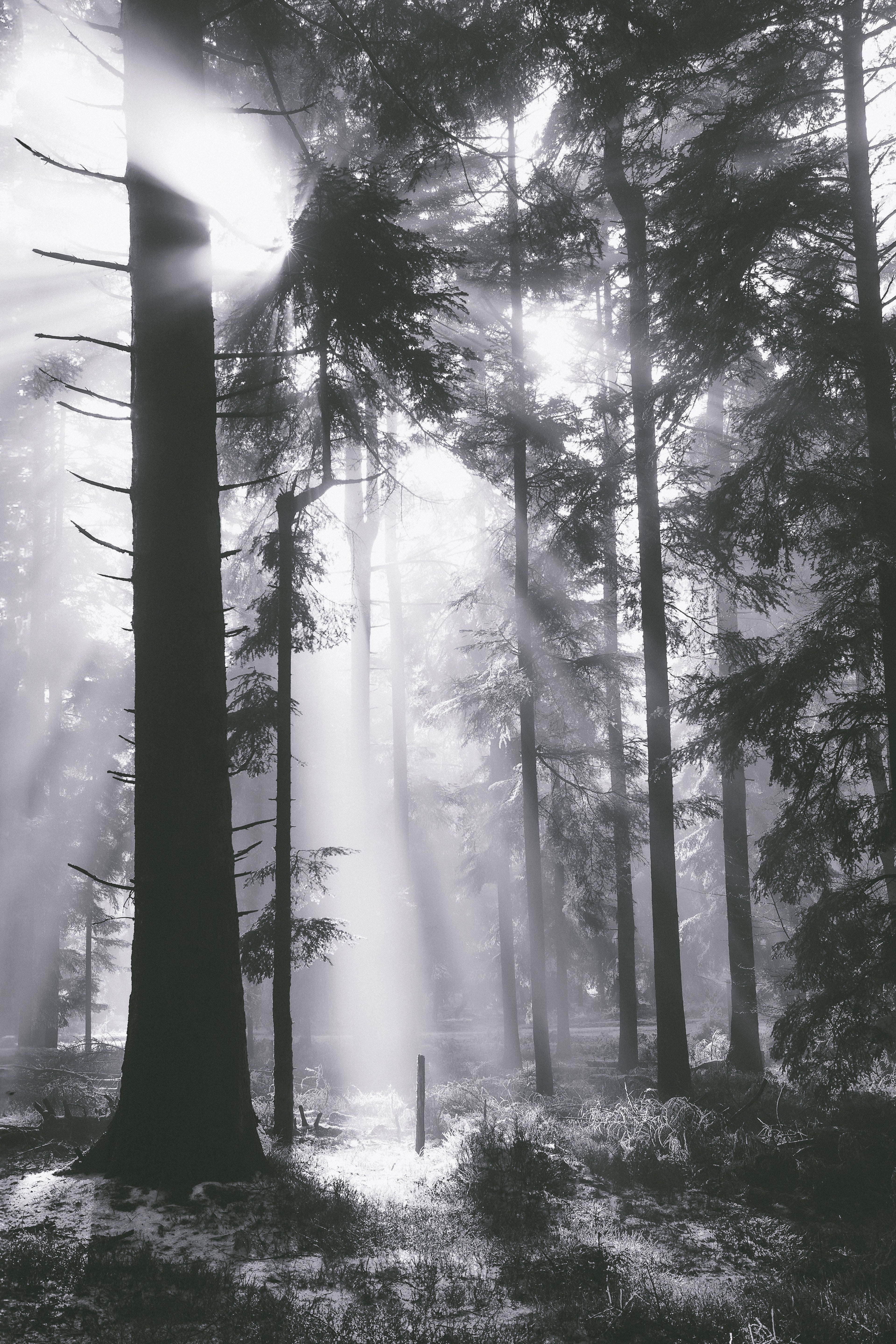 Dazwischen - Eine Reise durch Nebel, Licht und Stille