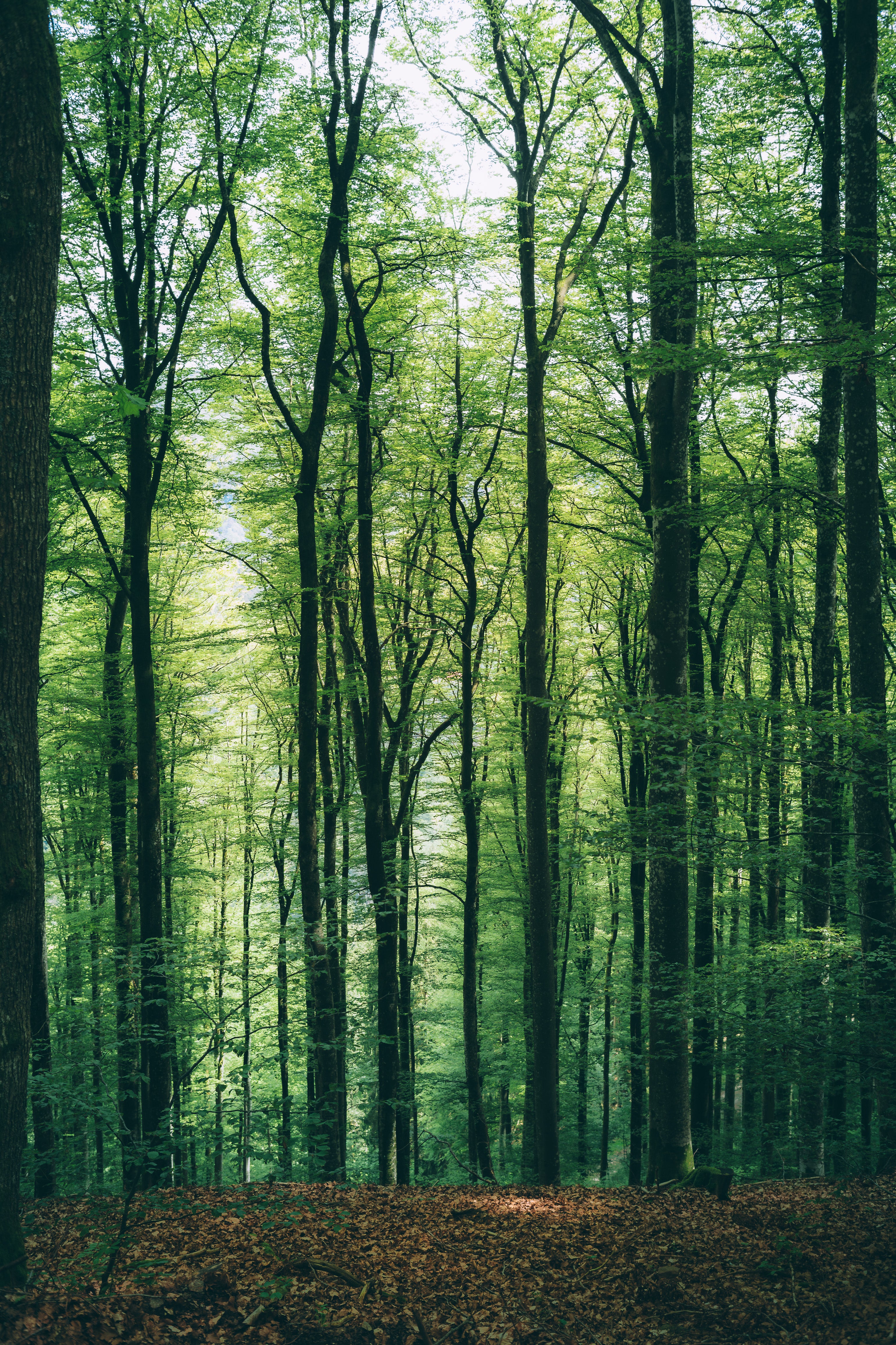 Landschaftsfotografie