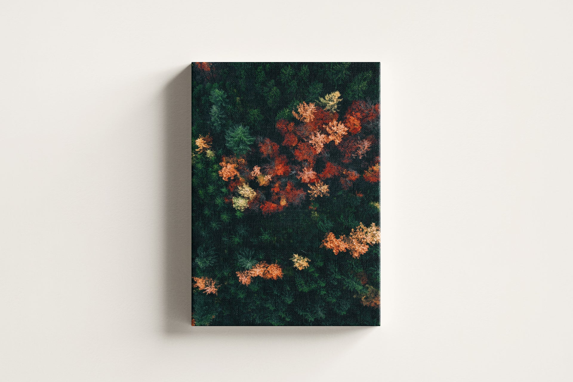 Herbstwald von oben | Farben des Waldes | Herbst aus der Vogelperspektive | Schwarzwald Draufsicht