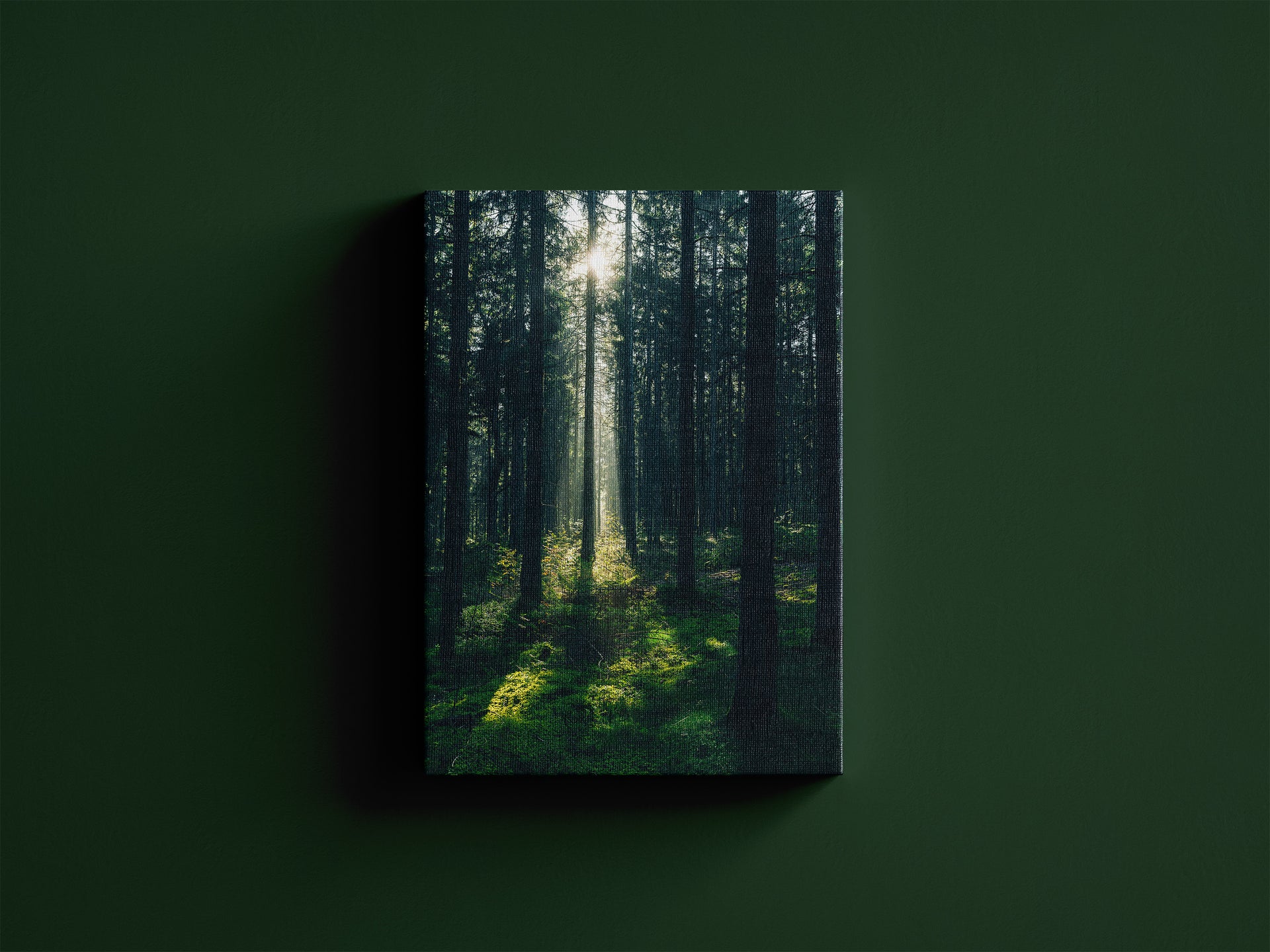 Waldlicht am Westweg | Schwarzwald Leinwand