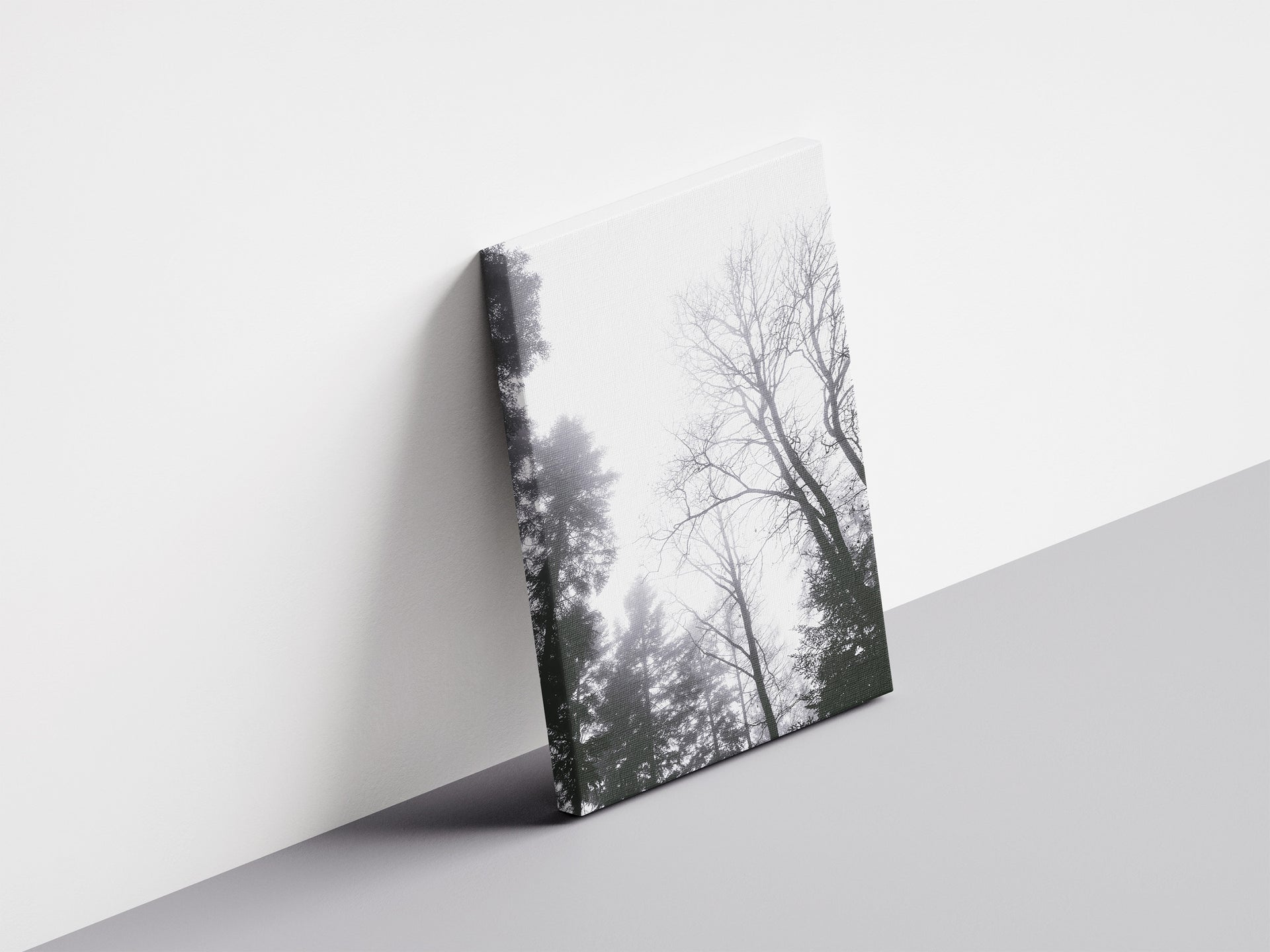 Aufschauen - Blick nach oben, Äste gegen hellen Himmel | Schwarzweiß Fotografie | Dazwischen