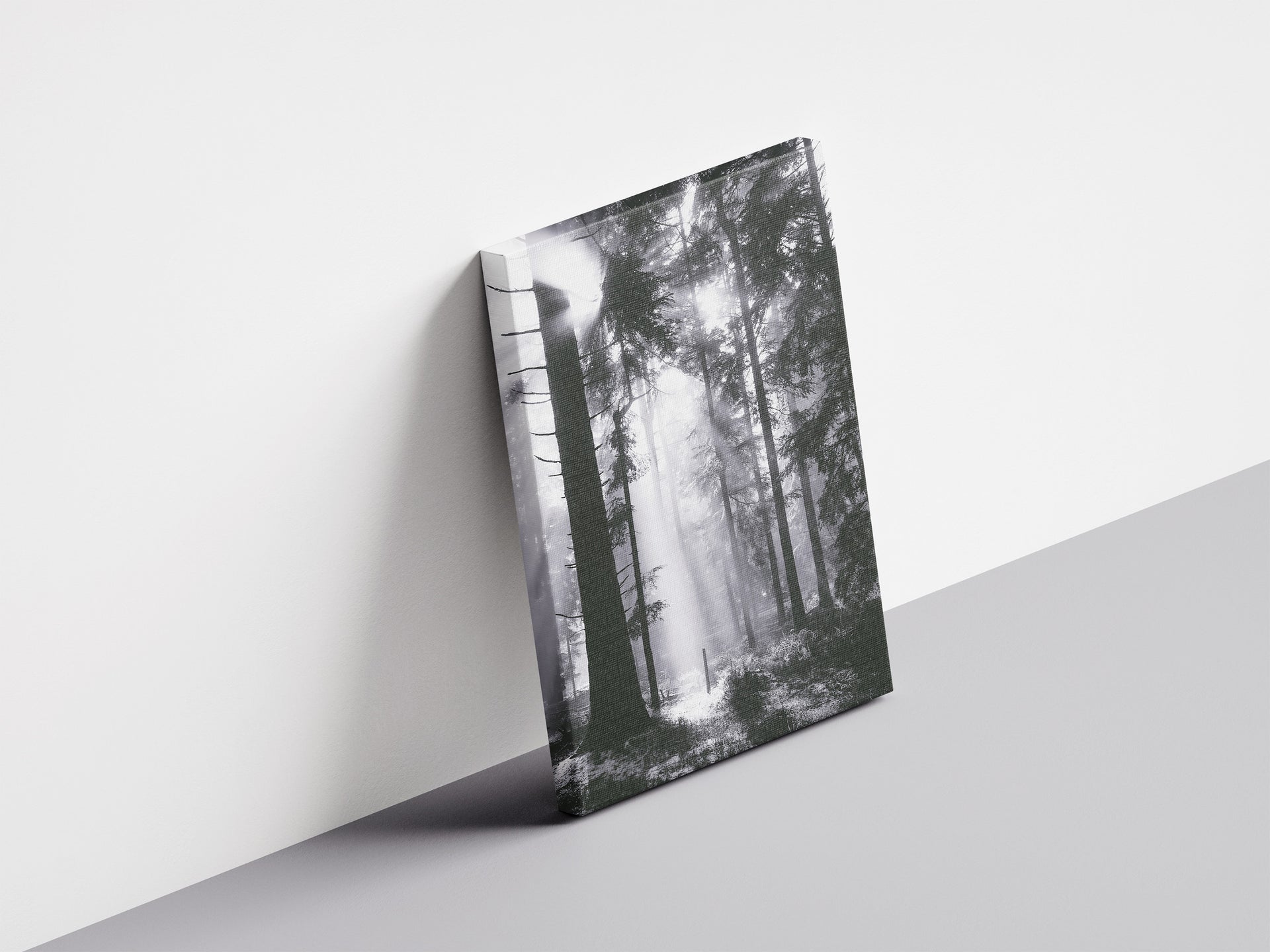 Durchbruch - Lichtstrahlen brechen durch Nebel und Stämme | Schwarzweiß Fotografie | Dazwischen