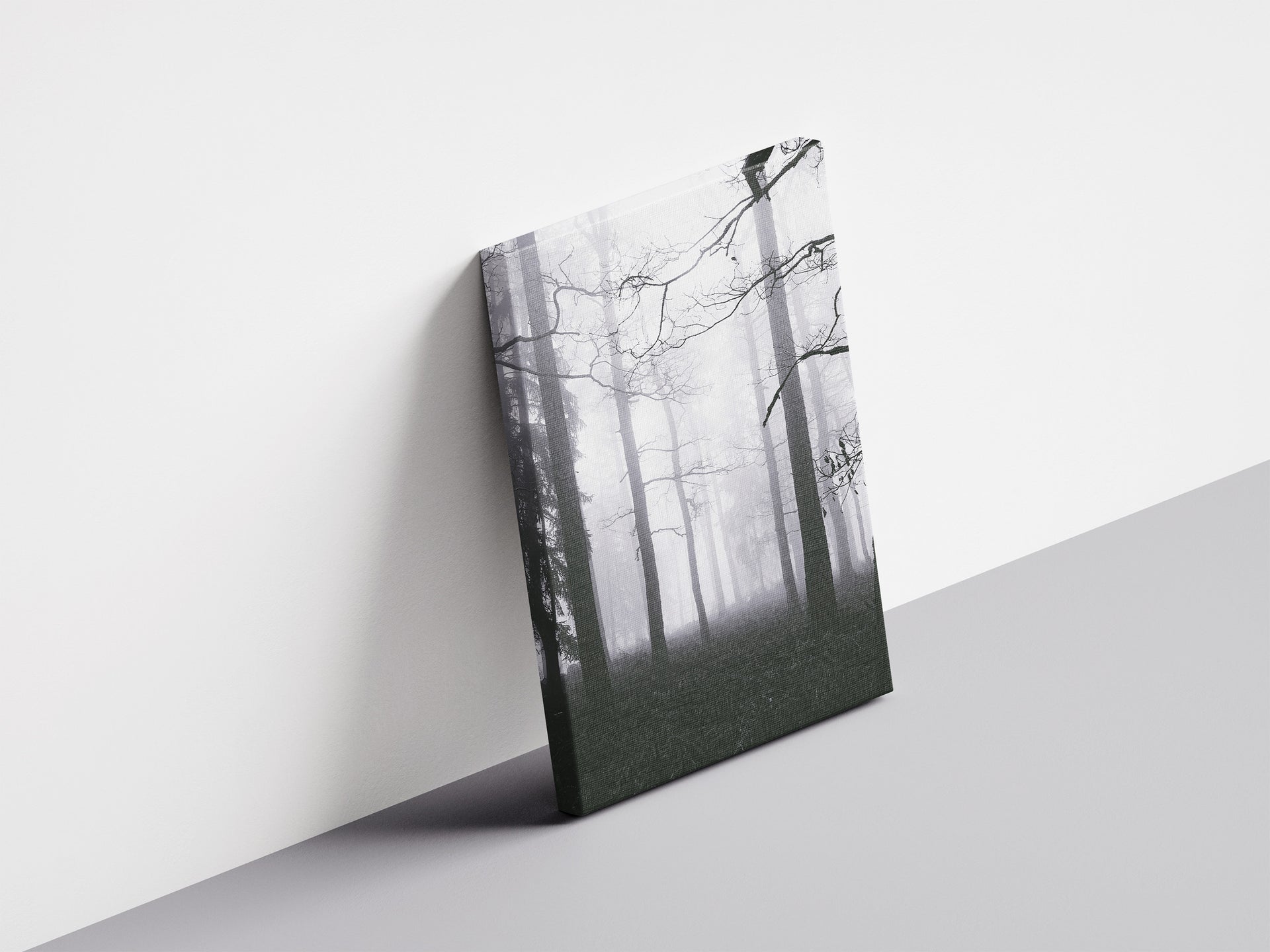 Innehalten - Kahle Äste über nebligem Waldboden mit Farn | Schwarzweiß Fotografie | Dazwischen