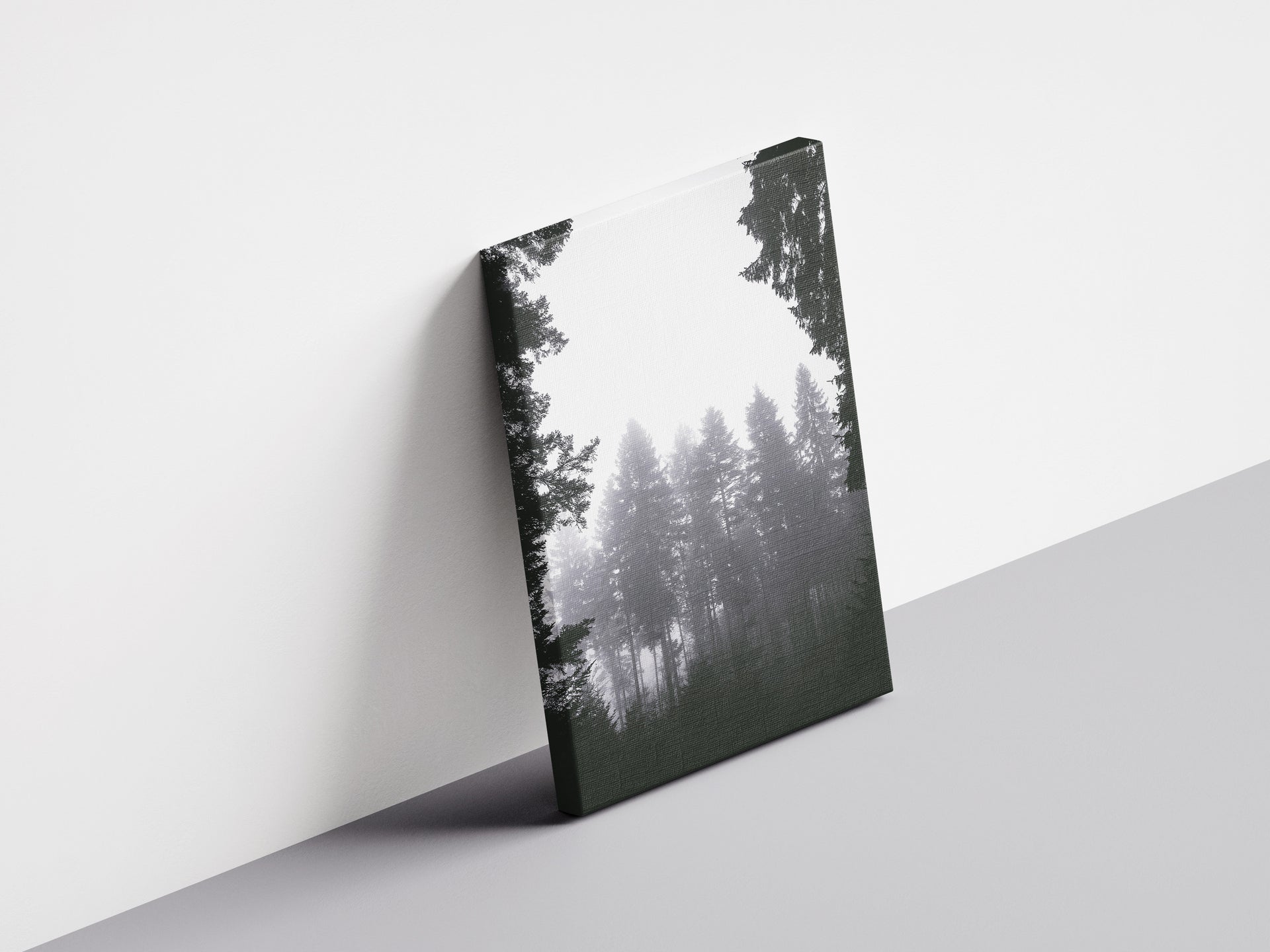Öffnung -Bäume rahmen eine neblige Lichtung ein | Schwarzweiß Fotografie | Dazwischen