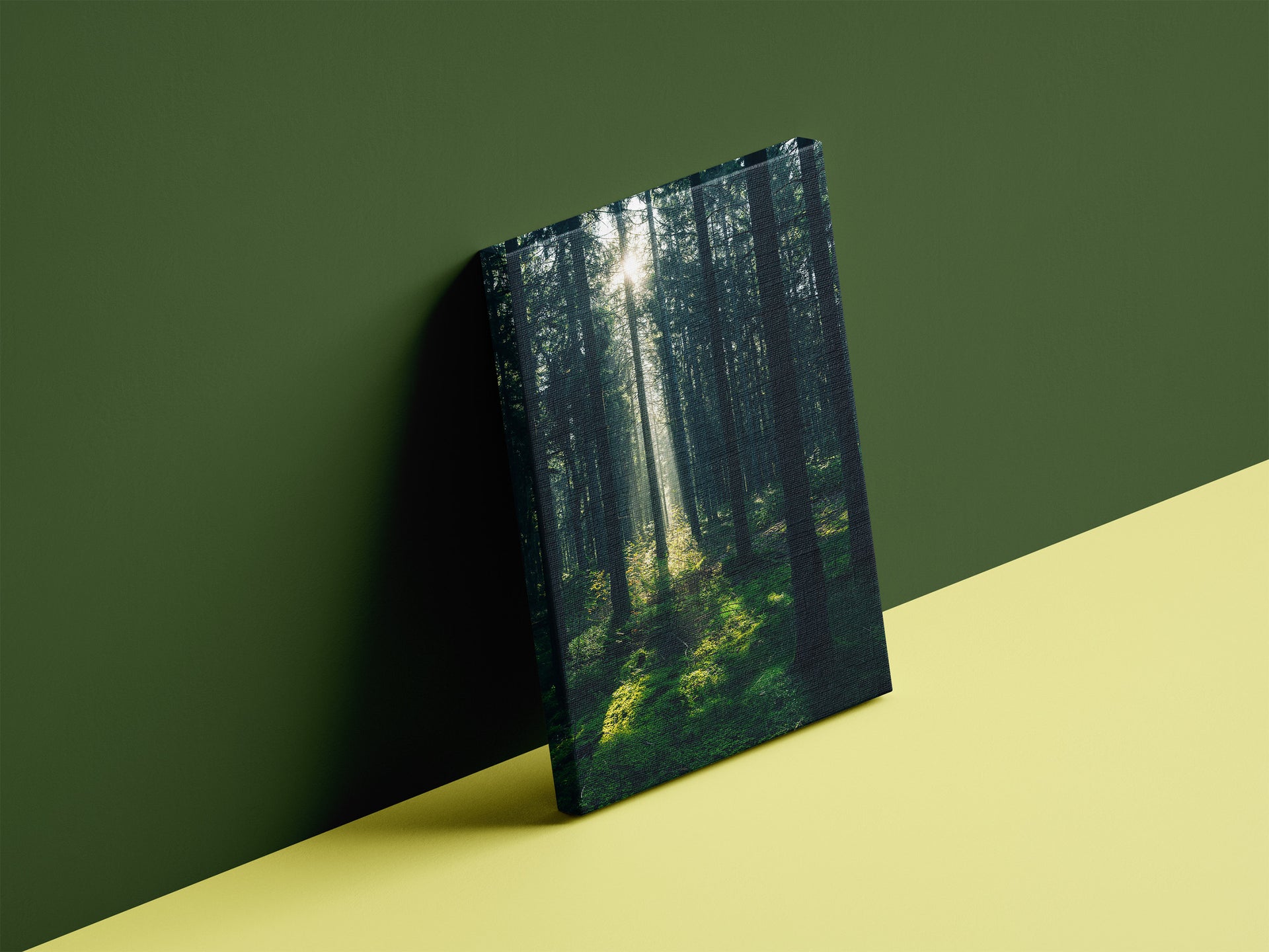 Waldlicht am Westweg | Schwarzwald Leinwand