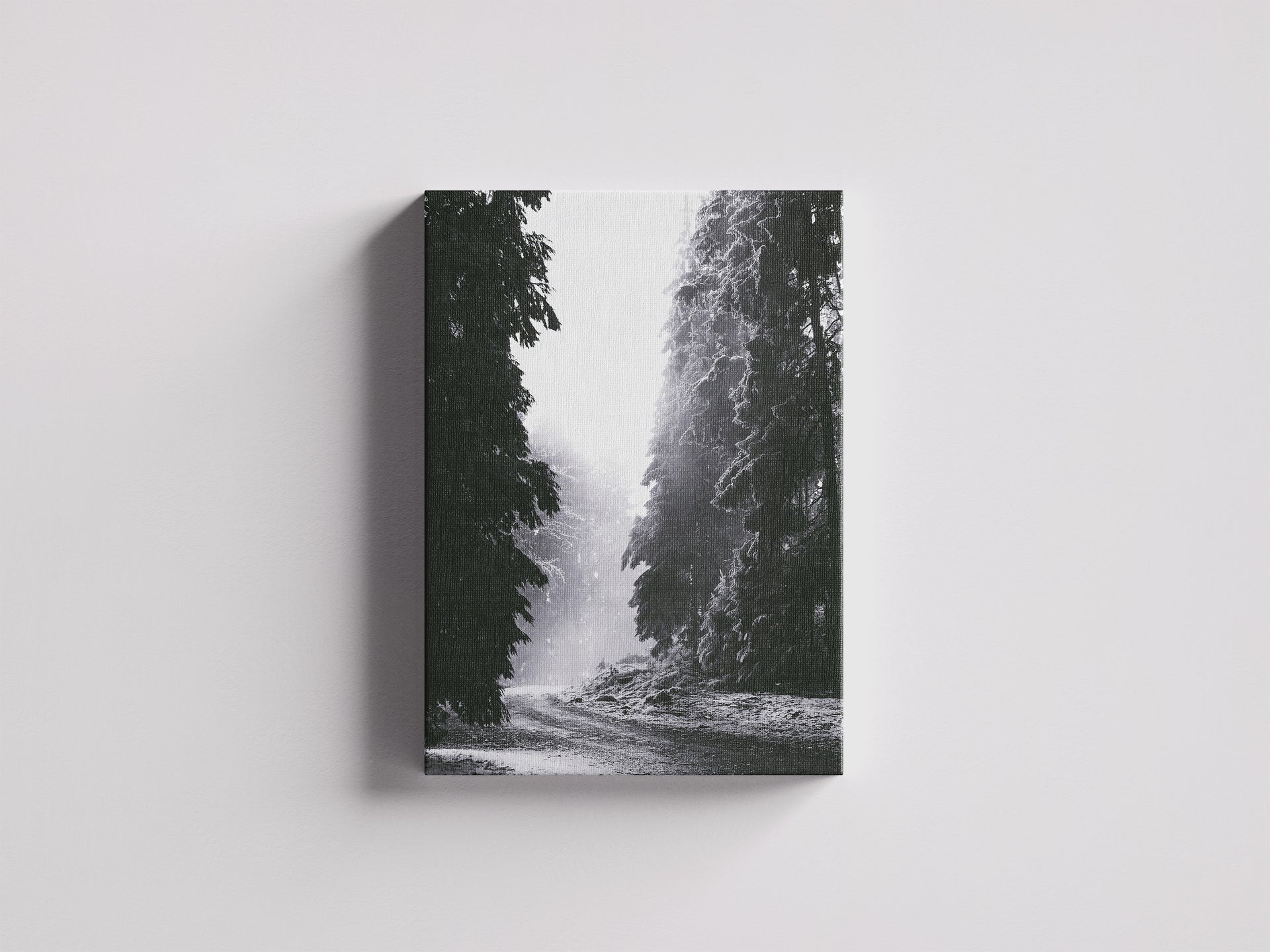 Ankunft - Verschneiter Weg ins Licht | Schwarzweiß Fotografie | Dazwischen
