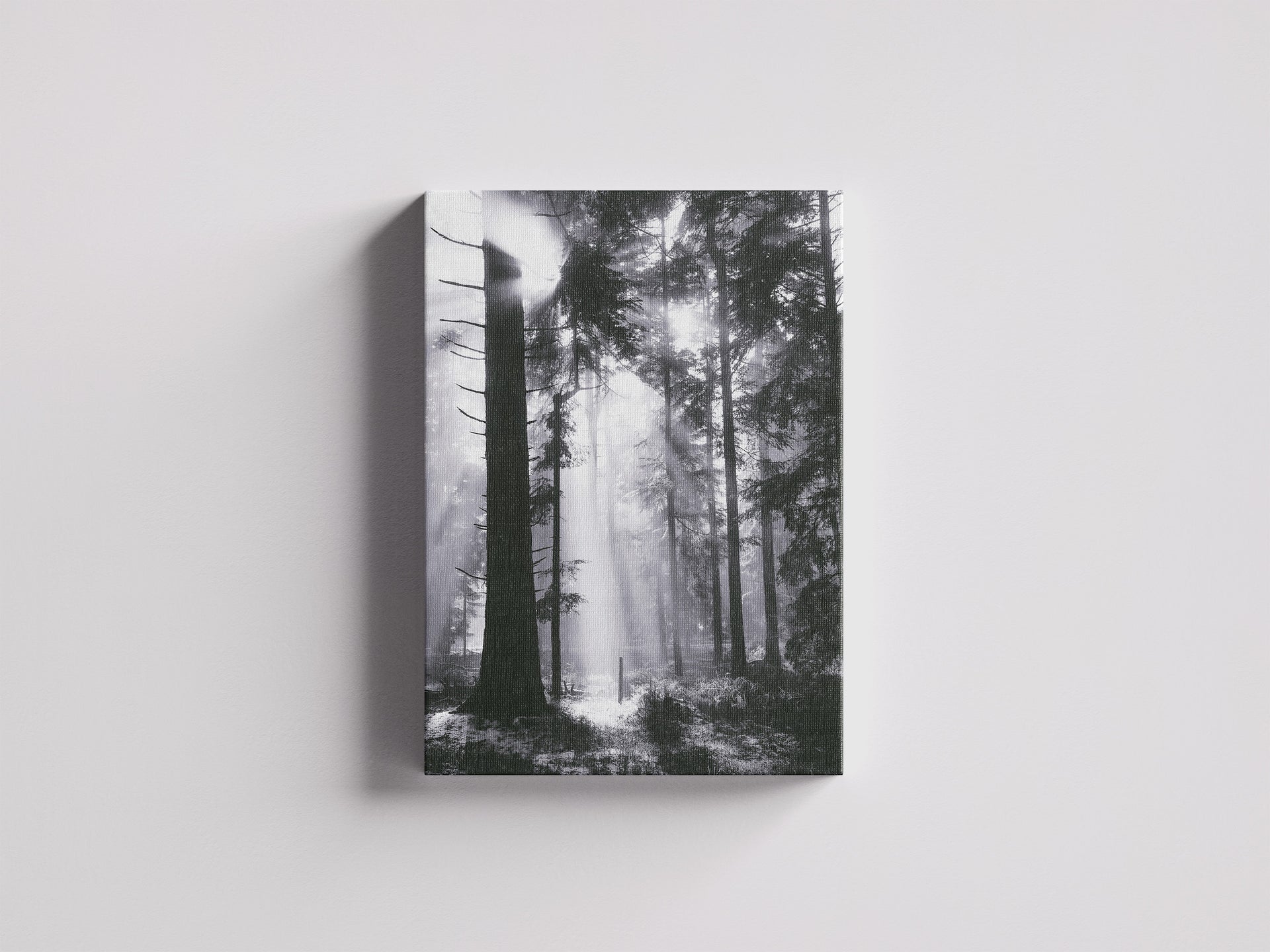 Durchbruch - Lichtstrahlen brechen durch Nebel und Stämme | Schwarzweiß Fotografie | Dazwischen