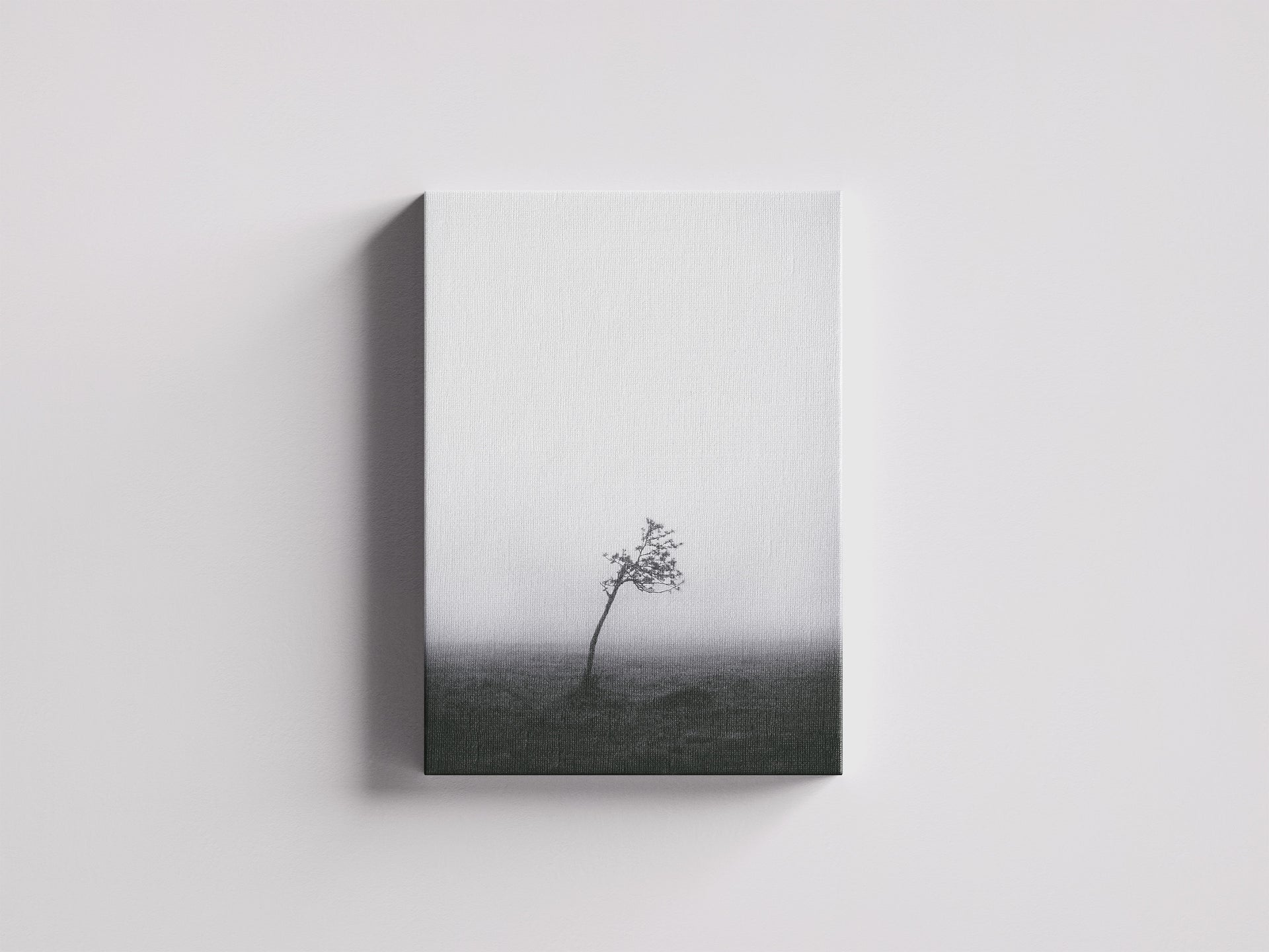 Loslassen - Einzelner schiefer Baum im leeren Nebelfeld | Schwarzweiß Fotografie | Dazwischen