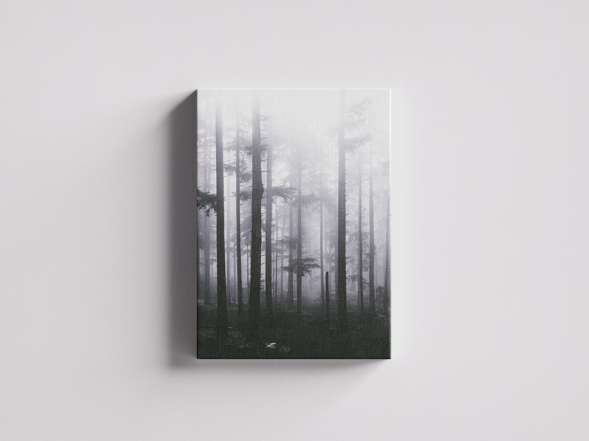 Orientierungslos - Hohe Stämme verschwinden im dichten Nebel | Schwarzweiß Fotografie | Dazwischen